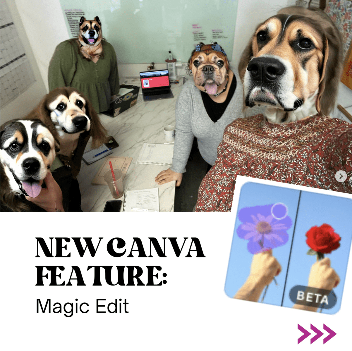 AI marketing tools for small business including Canva Pro